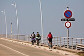 France, Charente Maritime, La Tremblade, Cyclists on a bridge over the Seudre\n