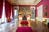 France, Paris, the Jacquemart Andre museum, the music room\n