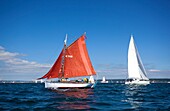 France, Finistère, Brest, HARBINGER England Brest International Maritime Festival 2016\n