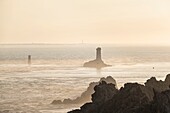 France, Finistere, Plogoff, Pointe du Raz along the GR 34 hiking trail or customs trail, La Vieille lighthouse and Sein island in the background\n