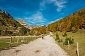 France, Hautes Pyrenees (65), Pyrenees National Park, the Gavarnie circus listed World Heritage by UNESCO\n