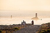 Frankreich, Finistere, Plogoff, Pointe du Raz entlang des Wanderwegs GR 34 oder des Zollwegs, im Hintergrund der Leuchtturm La Vieille und die Insel Sein