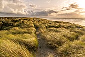 Frankreich, Somme, Quend-Plage, Die Dünen von Marquenterre am Ende des Tages zwischen zwei Regenschauern im Herbst