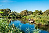 Frankreich, Loire-Atlantique, Regionaler Naturpark Briere, La Chapelle-des-Marais am Rande des Sumpfgebiets der Brière