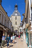 Frankreich, Indre et Loire, Loire-Tal, von der UNESCO zum Weltkulturerbe erklärt, Amboise, Touristen in den Straßen von Amboise