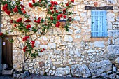 France, Alpes Maritimes, Parc Naturel Regional des Prealpes d'Azur, Gourdon, labeled Les Plus Beaux Villages de France\n