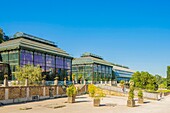 Frankreich, Paris, der Jardin des Plantes, Gewächshäuser