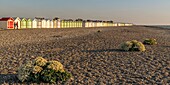 Frankreich, Somme, Cayeux sur Mer, Die Wegetafeln in Cayeux sur Mer sind die längsten in Europa, sie tragen ihre bunten Strandhütten mit sprechenden Namen auf fast 2 km Länge auf dem Kieselstrand