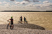 France, Somme, Somme Bay, Le Hourdel, mountain bikers on the pebble cord\n