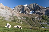 France, Hautes Pyrenees, Gavarnie, the Astazou peaks seen from Espuguettes mountain hut, UNESCO World Heritage Site\n