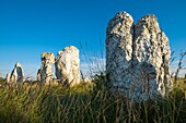 France, Finistere, Armorica Regional Natural Park, Crozon Peninsula, Camaret-sur-Mer, Lagatjar Alignment or Toulinguet megalithic alignment\n
