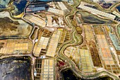 France, Loire Atlantique, Guerande, salt marshes (aerial view)\n