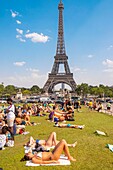 France, Paris, zone classified World Heritage of UNESCO, the gardens of Trocadero in front of the Eiffel Tower, during the days of caniculz\n