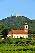 Frankreich, Haut Rhin, Elsässer Weinstraße, Kirche St. HIppolyte und Schloss Haut Koenigsbourg