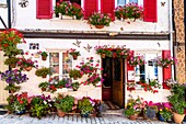 France, Somme, Somme Bay, Saint Valery sur Somme, The fishermen's houses, in the district of Courtgain in Saint-Valery, the houses with flowers\n