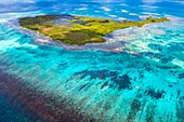 France, Caribbean, Lesser Antilles, Guadeloupe, Grand Cul-de-Sac Marin, heart of the Guadeloupe National Park, Basse-Terre, aerial view of the Fajou Islet and the longest coral reef (25 km) of the Lesser Antilles, Biosphere Reserve of the Archipelago of Guadeloupe\n