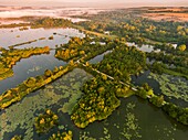 Frankreich, Somme, Tal der Somme, Long, die Sümpfe der Somme bei Long am frühen Morgen, das Tal der Somme noch neblig (vue aérienne)