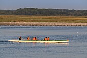 France, Somme, Somme Bay, Saint-Valery-sur-Somme, Canoe and kayak return from a walk in the channels in the salted meadows\n