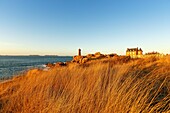 France, Cotes d'Armor, Pink Granite Coast, Perros Guirec, on the Customs footpath or GR 34 hiking trail, Ploumanac'h or Mean Ruz lighthouse at sunset\n