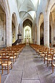 France, Cotes d'Armor, Dinan, 15th century Saint Malo church in flamboyant gothic style, the nave and the choir\n