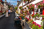 France, Somme, Somme Bay, Saint Valery sur Somme, At the time of the sea festivals, the district of Courtgain (the one where one gains little) which shelters the houses of the fishermen is decorated with nets fishing and gladioli\n