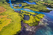 France, Caribbean, Lesser Antilles, Guadeloupe, Grand Cul-de-Sac Marin, heart of the Guadeloupe National Park, Grande-Terre, Basse-Terre, Baie-Mahault, aerial view of the largest mangrove belt in the Lesser Antilles, Guadeloupe Biosphere Reserve, here the Strait of the Salty River\n