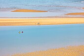 France, Charente Maritime, Re island, Loix, Pointe du Fier, le Bucheron sandbank (aerial view)\n