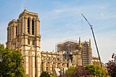 Frankreich, Paris, von der UNESCO zum Weltkulturerbe erklärtes Gebiet, die Kathedrale Notre Dame in Paris