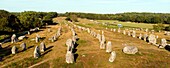 Frankreich, Morbihan, Carnac, Reihe von megalithischen Steinen bei Kermario (Luftaufnahme)