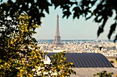 France, Paris, general view with the Eiffel Tower\n