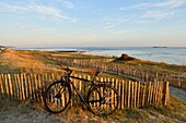 Frankreich, Morbihan, Golf von Morbihan, Regionaler Naturpark des Golfs von Morbihan, Locmariaquer, Kerpenhir Point, der Strand