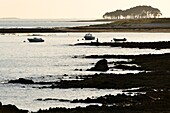 France, Morbihan, Gulf of Morbihan, Regional Natural Park of the Gulf of Morbihan, Locmariaquer, Kerpenhir Point, the beach\n