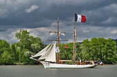 Frankreich, Seine Maritime, Armada von Rouen, die Armada von Rouen 2019 auf der Seine, die Etoile, Zweimastschoner mit Holzrumpf