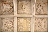 France, Charente Maritime, Dampierre sur Boutonne Castle, Coffered ceiling of the alchemical gallery\n