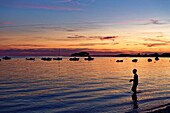 France, Morbihan, Gulf of Morbihan, Regional Natural Park of the Gulf of Morbihan, Locmariaquer, Kerpenhir Point, the beach\n