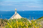 Frankreich, Finistere, Cleden-Cap-Sizun, Pointe du Van, Kapelle Saint-They und Insel Sein im Hintergrund