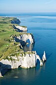 Frankreich, Seine Maritime, Etretat, Cote d'Abatre, der Golf, die Aiguille (Luftaufnahme)