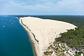 France, Gironde, La Teste de Buch, paragliding on Pilat Great Dune (aerial view)\n