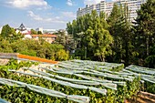 France, Paris, 15th arrondissement, Georges Brassens Park\n