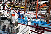 France, Var, Sanary sur Mer, the port, traditional fishing boats, the Pointus\n