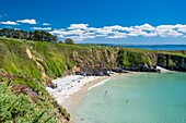 France, Finistere, Armorica Regional Natural Park, Crozon Peninsula, Telgruc-sur-Mer, Trez Bihan Bay\n