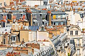 France, Paris, 8th arrondissement, view of the rooftops of Paris\n