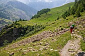 France, Hautes Alpes, Ecrins National Park, Champsaur, Drac Noir valley, Prapic, hike from Prapic to Saut du Laire\n