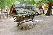 France, Yonne, Treigny, Guedelon, building of the castle according to a model and medieval processes, the farm\n