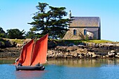 France, Morbihan, Gulf of Morbihan, Séné, the boat La Vieille Dame in front of the chapel of the island of Boëdic\n