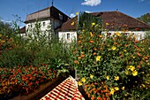 Frankreich, Doubs, Arc et Senans, die von der UNESCO zum Weltkulturerbe erklärte Saline Royale, Gartenfestival 2019, Blumen