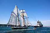 France, Finistère, Brest, LA RECOUVRANCE ABEILLE BOURBON France Brest International Maritime Festival 2016\n