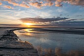 France, Somme, Somme Bay, Nature Reserve of the Somme Bay, Landscapes of the Somme Bay at low tide at sunset\n