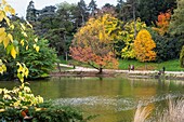 France, Paris, Parc-de-Montsouris district, Montsouris Park in the fall\n