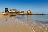 France, Cotes d'Armor, Cote d'Ajoncs, Plougrescant, Pors Scaff cove\n